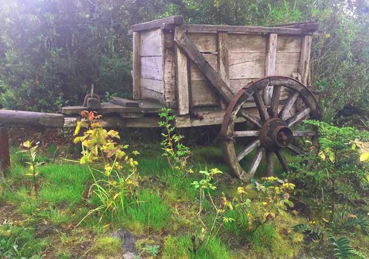 Cabanas Los Cantos Del Chucao Puerto Varas Ngoại thất bức ảnh