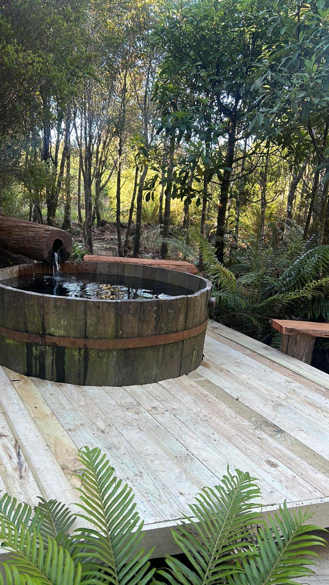 Cabanas Los Cantos Del Chucao Puerto Varas Ngoại thất bức ảnh